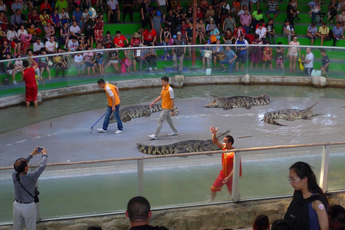 泰国春武里府差拉动物王国