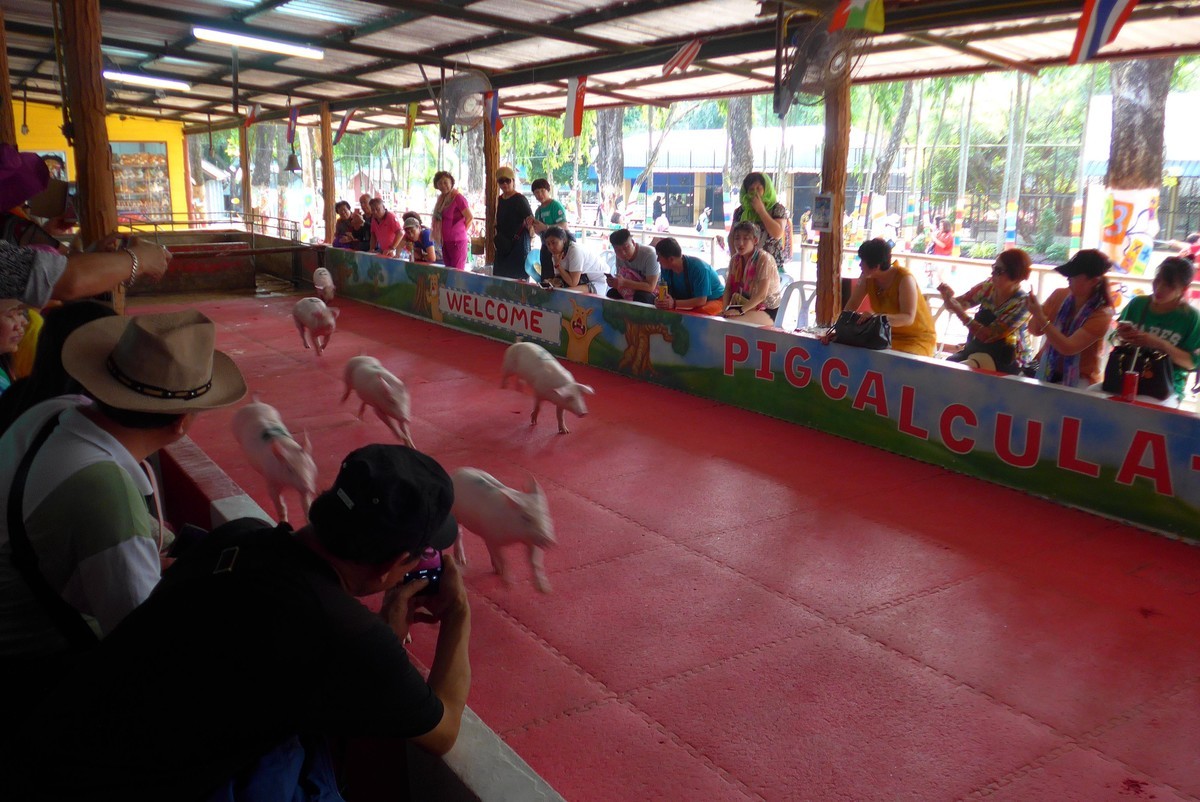 泰国春武里府差拉动物王国