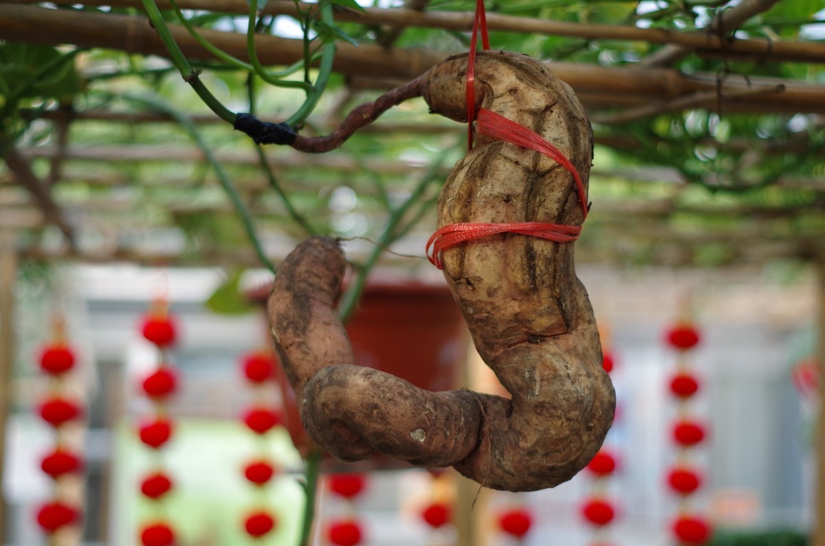 来几张da50 1.8的片子