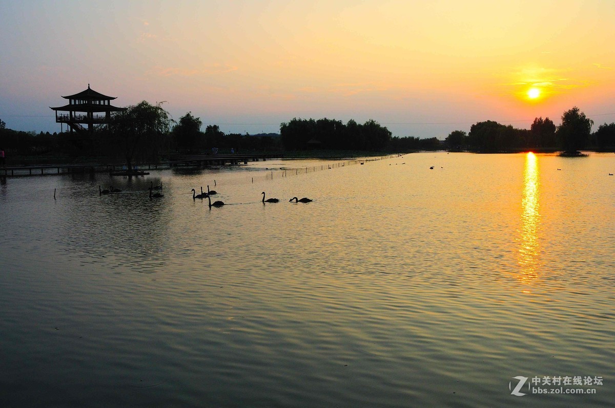 台儿庄双龙湖观鸟园随拍