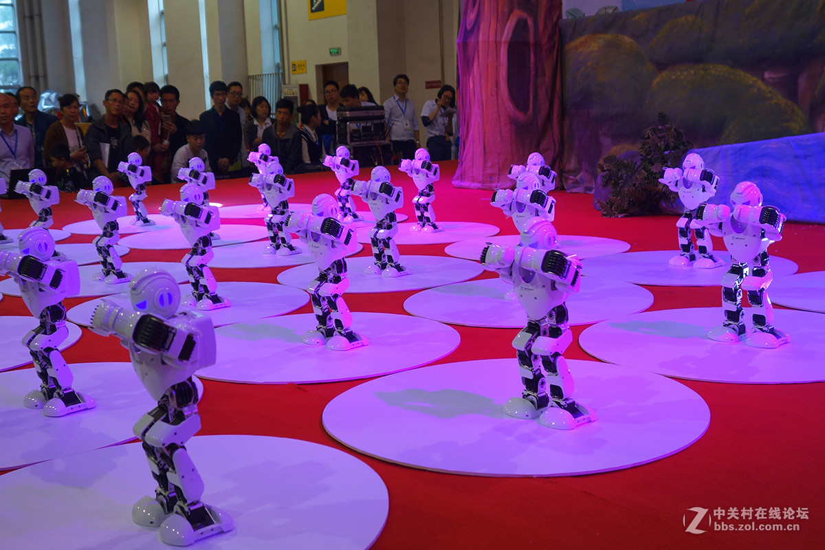 宁波文博会掠影（一）