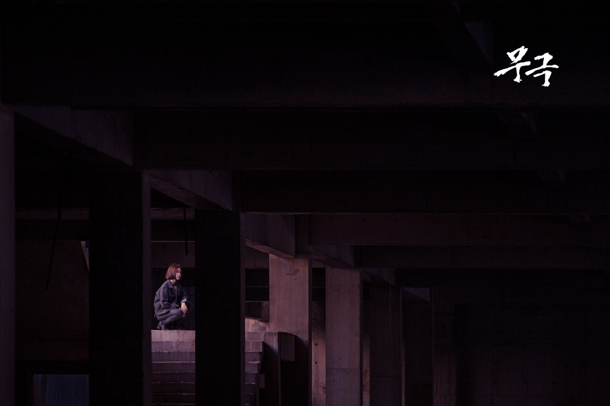 《无极：endless promise》by 留香农