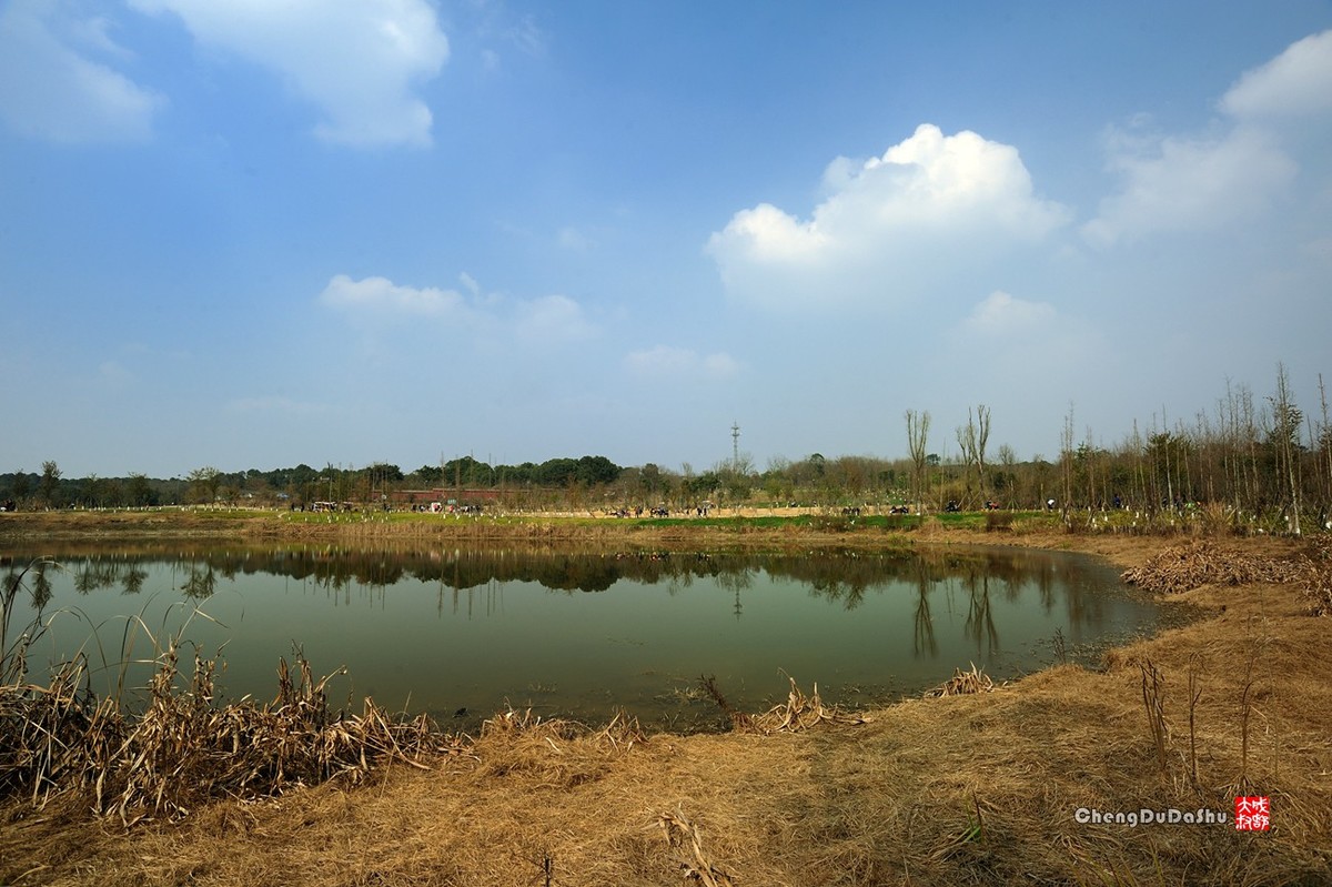 成都青龍湖溼地公園四