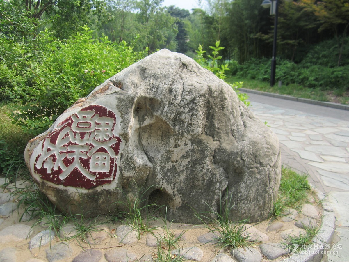 #佳能EOS M6-定格光影#夏色、奇石、古韵、荷花