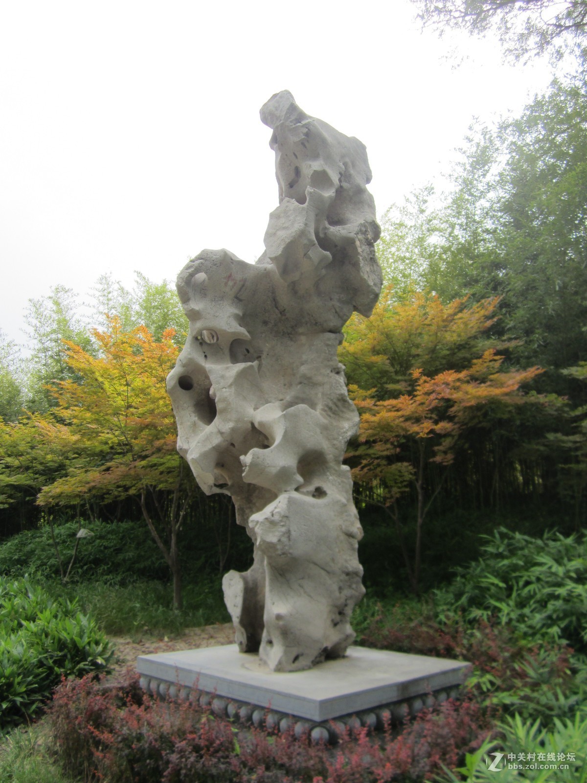 #佳能EOS M6-定格光影#夏色、奇石、古韵、荷花