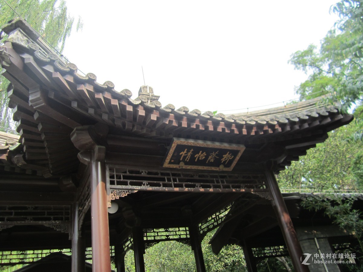 #佳能EOS M6-定格光影#夏色、奇石、古韵、荷花