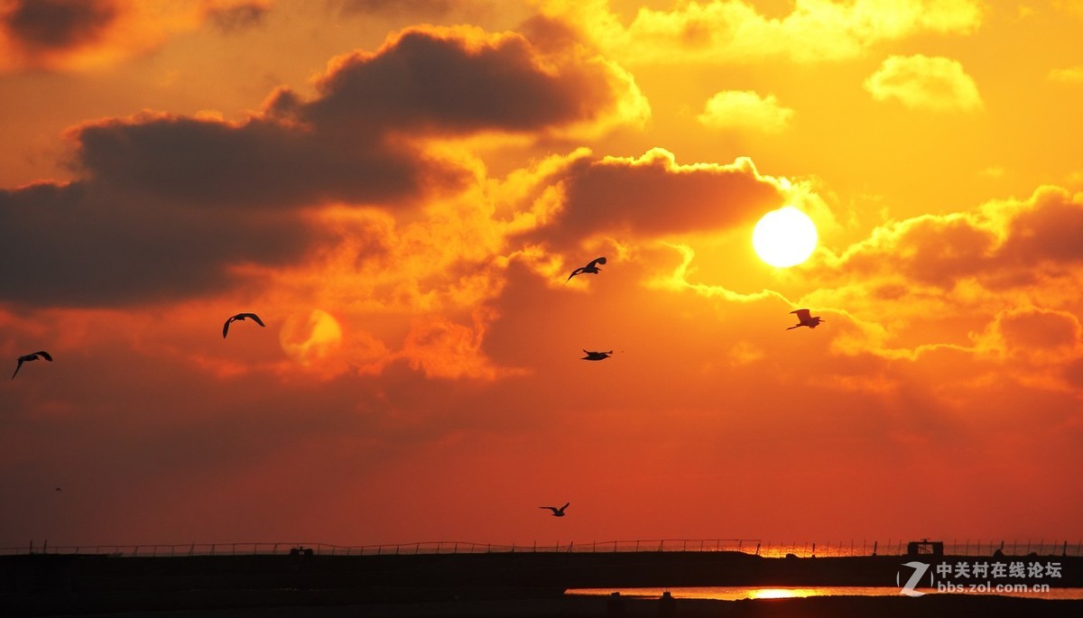 #佳能EOS M6-定格光影#阳光下的，沙滩浪花，小船和花朵，迷人的色彩难以忘怀。