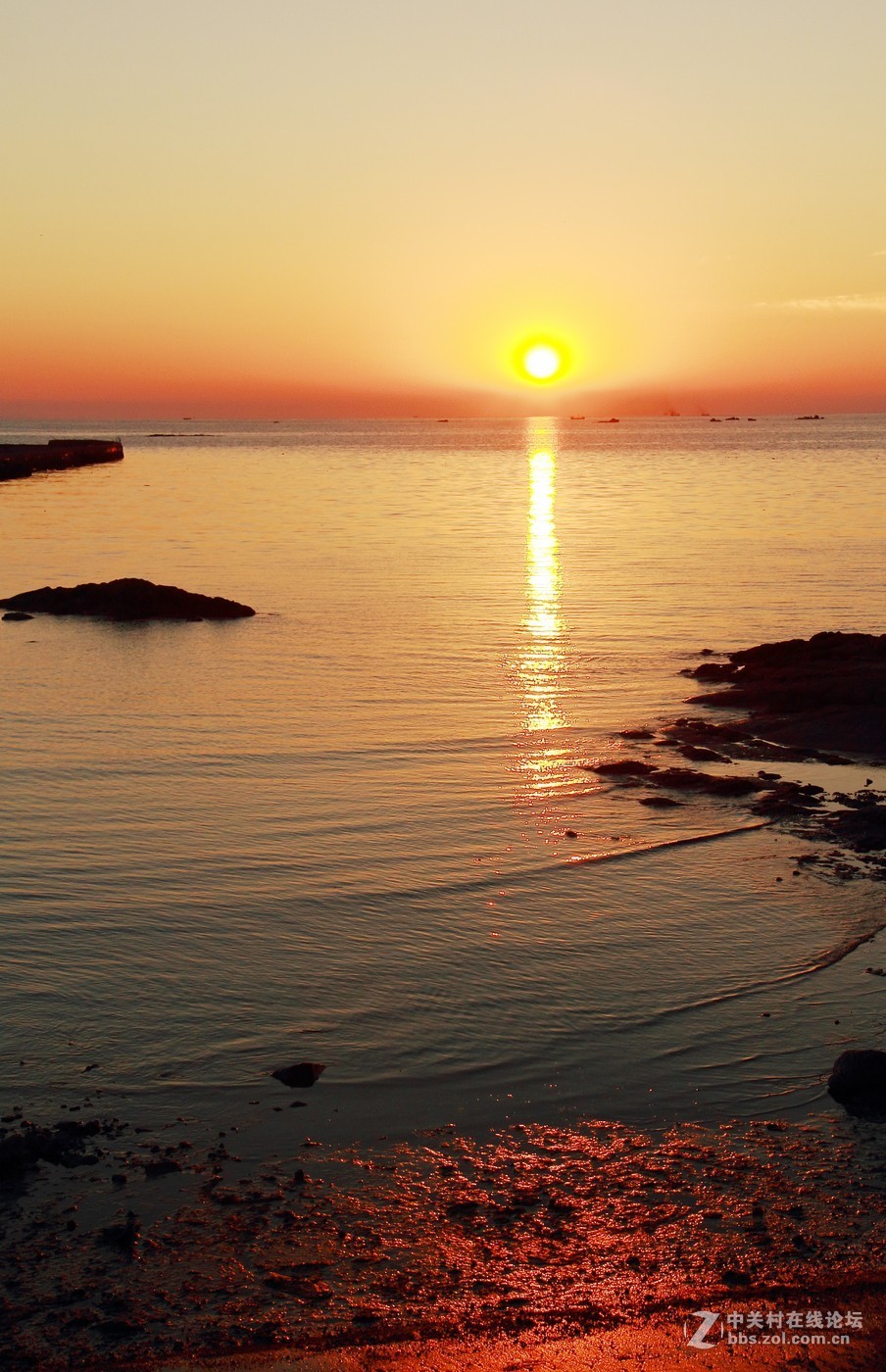 #佳能EOS M6-定格光影#阳光下的，沙滩浪花，小船和花朵，迷人的色彩难以忘怀。