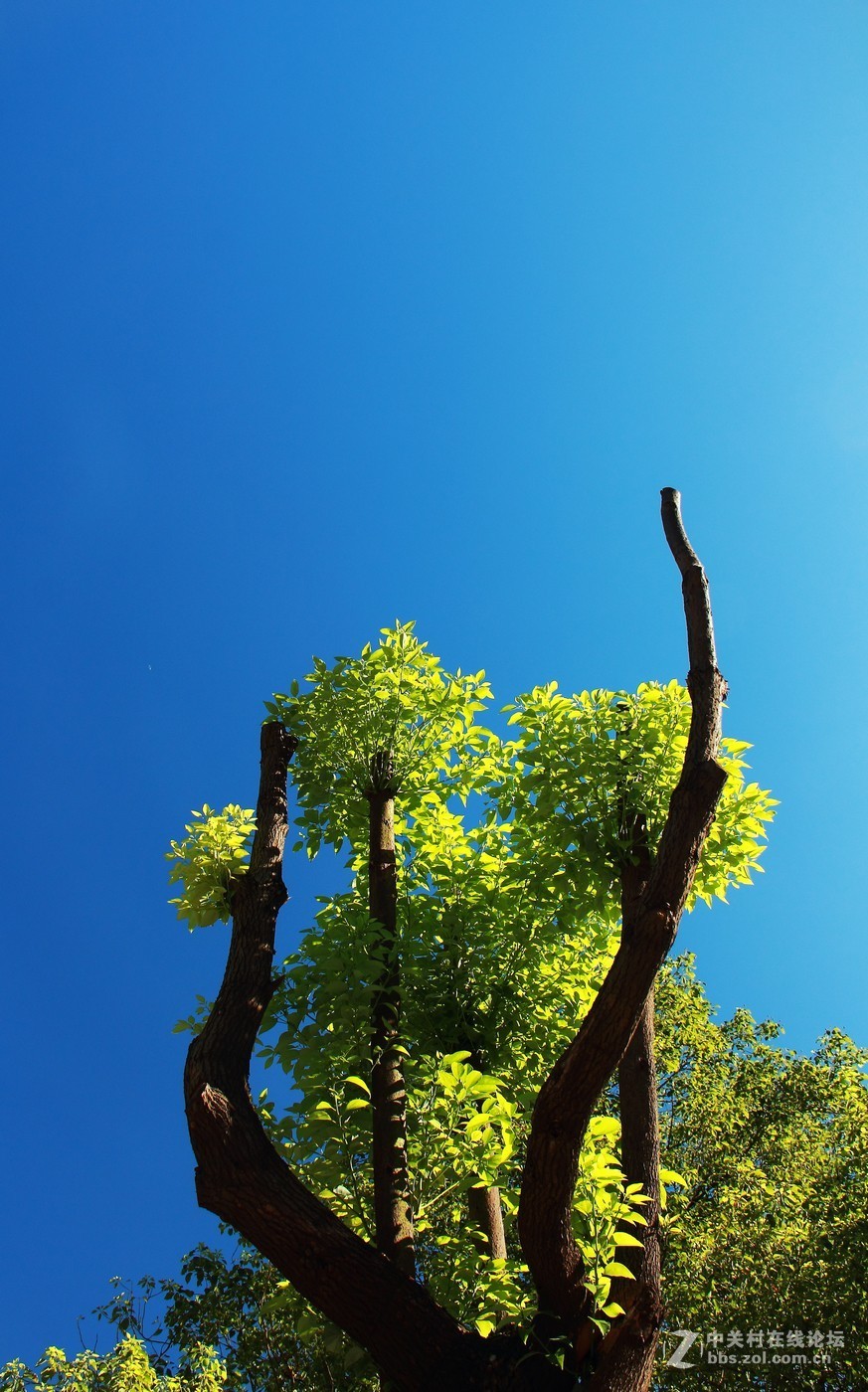 #佳能EOS M6-定格光影#阳光下的，沙滩浪花，小船和花朵，迷人的色彩难以忘怀。