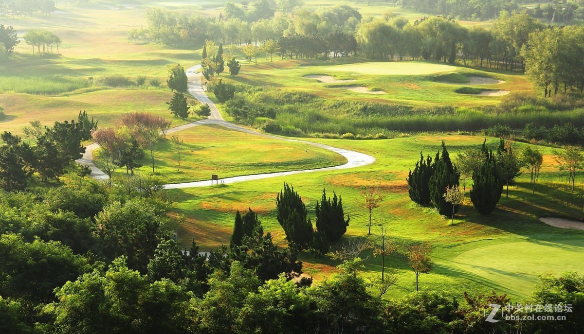 #佳能EOS M6-定格光影#阳光下的，沙滩浪花，小船和花朵，迷人的色彩难以忘怀。