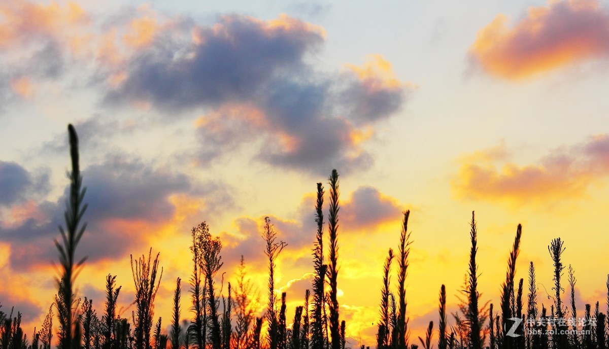 #佳能EOS M6-定格光影#阳光下的，沙滩浪花，小船和花朵，迷人的色彩难以忘怀。