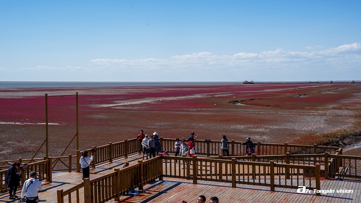 盘锦闲游——红海滩（9）