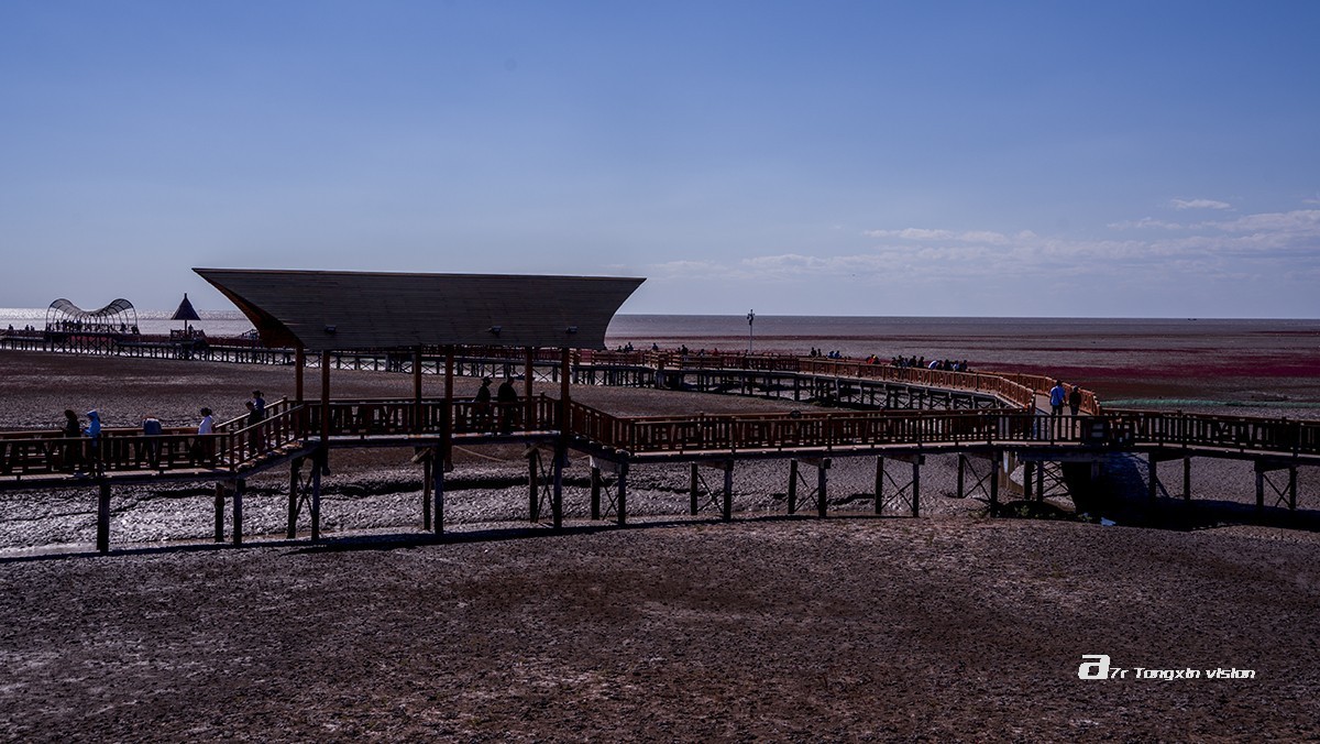 盘锦闲游——红海滩（9）