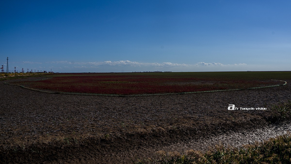 盘锦闲游——红海滩（9）