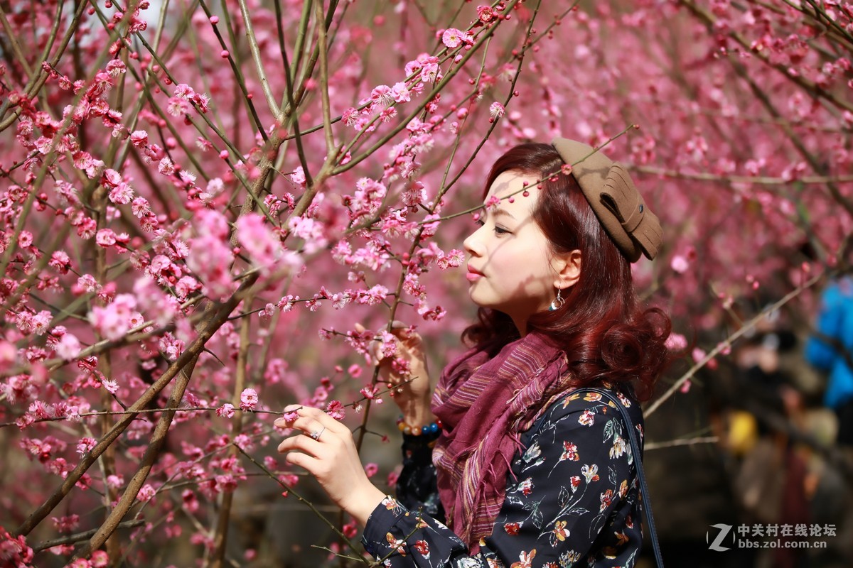 梅林裡的女人花