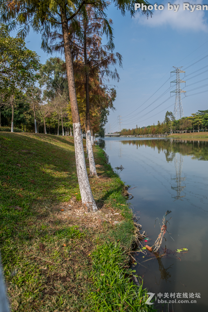 燕岭湿地绿意盎然
