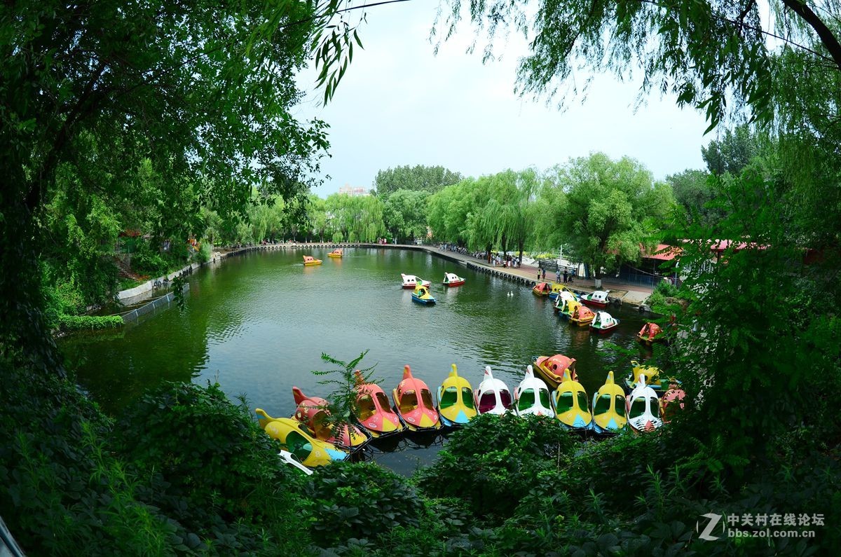 香喷喷的变焦鱼……尼康8-15鱼眼镜头试拍