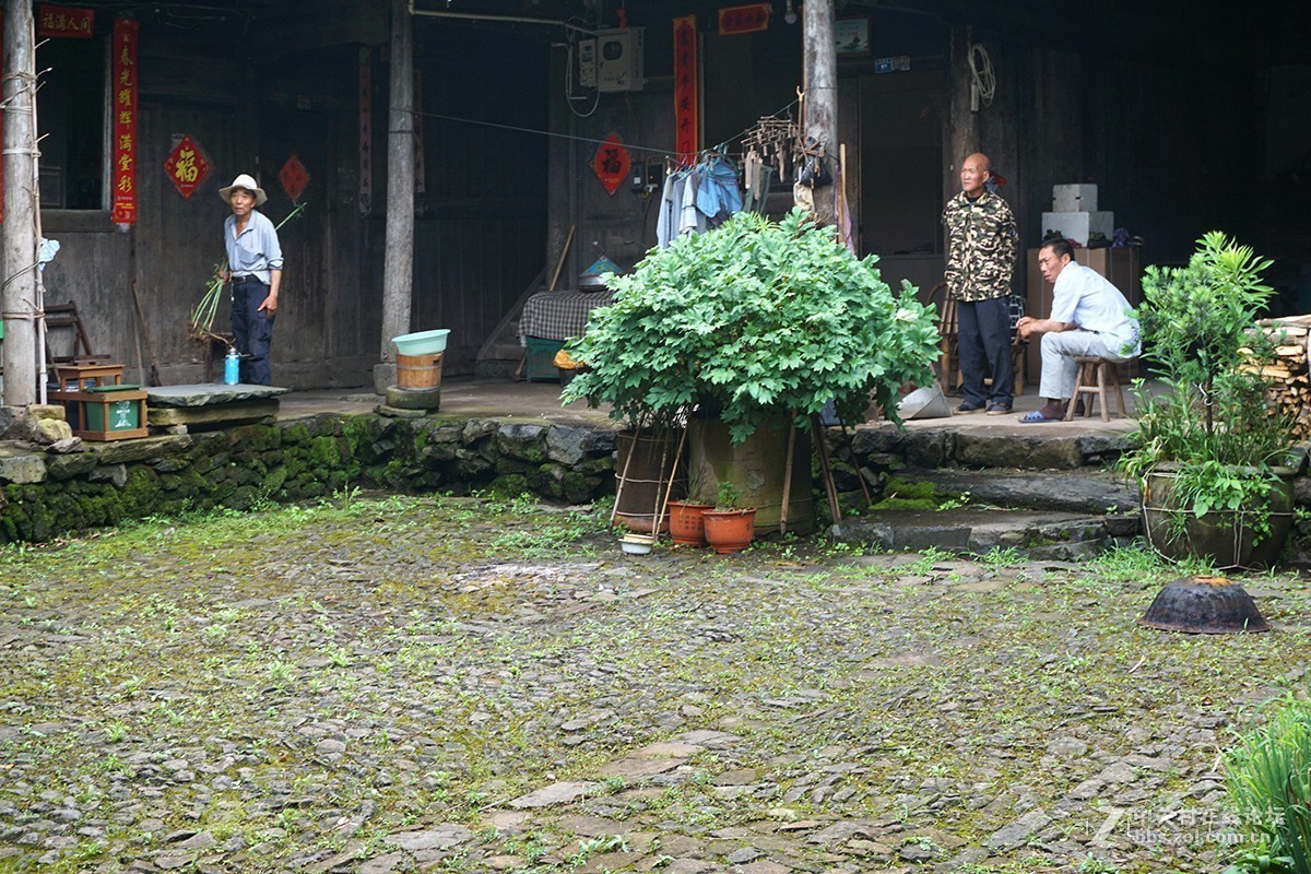 磐安乌石小镇横路村见闻