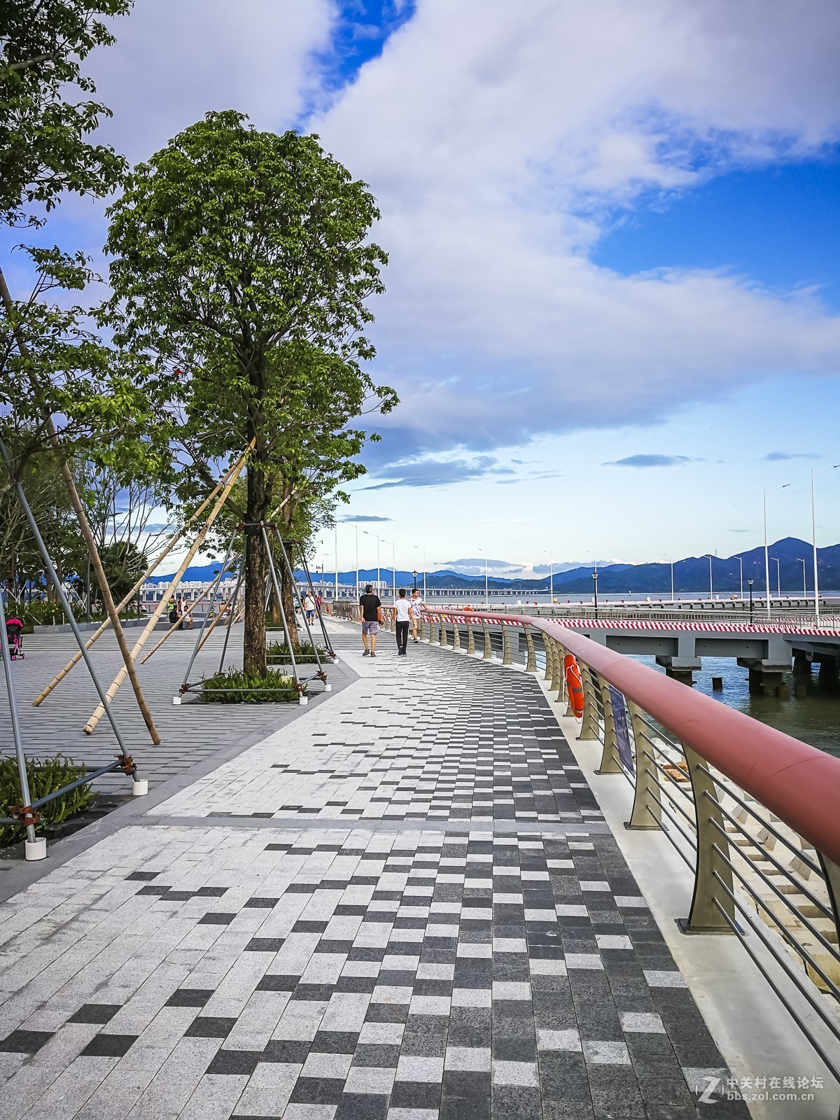 深圳湾运动公园~掠影