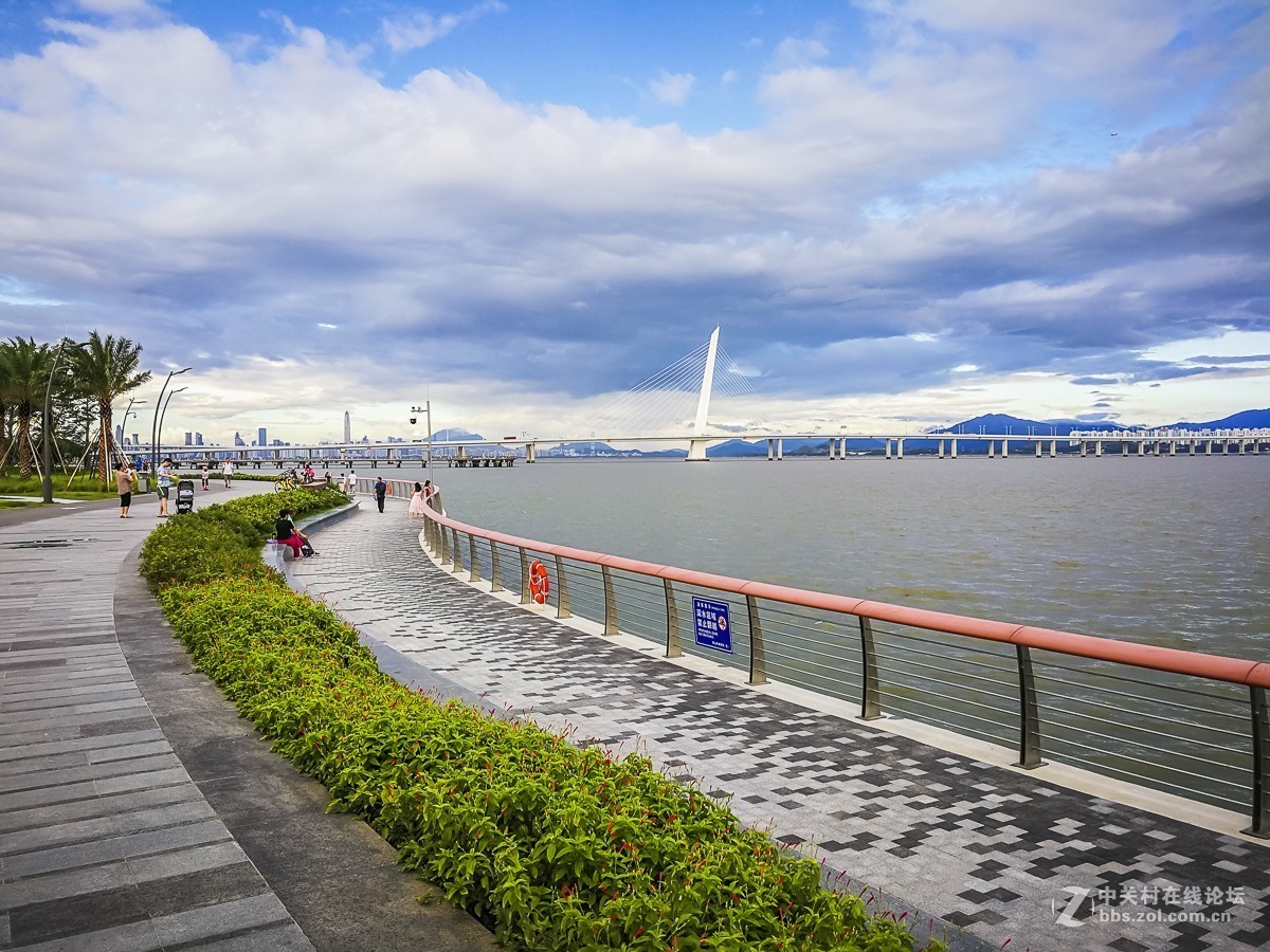 深圳湾运动公园~掠影