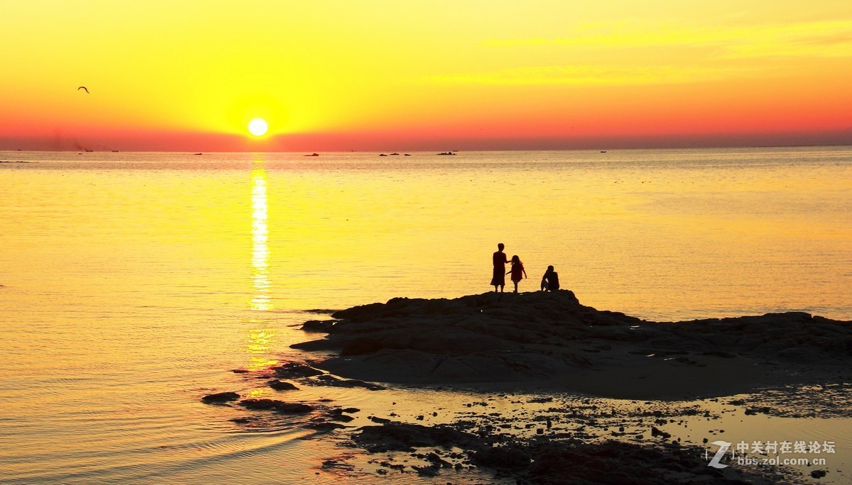 #佳能EOS M6-定格光影#阳光下的，沙滩浪花，小船和花朵，迷人的色彩难以忘怀。