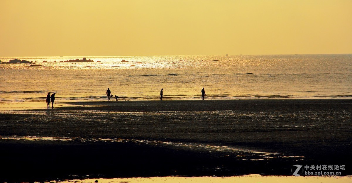 #佳能EOS M6-定格光影#阳光下的，沙滩浪花，小船和花朵，迷人的色彩难以忘怀。