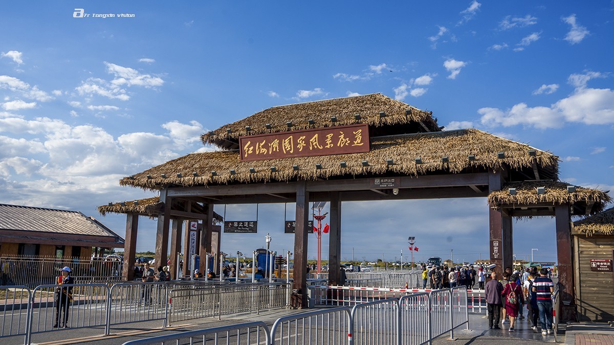 盘锦闲游——红海滩（9）