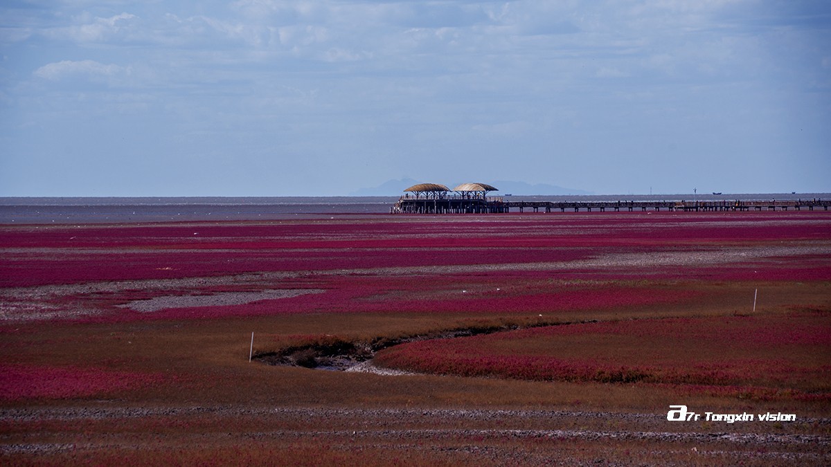 盘锦闲游——红海滩（9）
