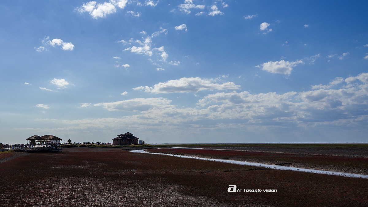 盘锦闲游——红海滩（9）