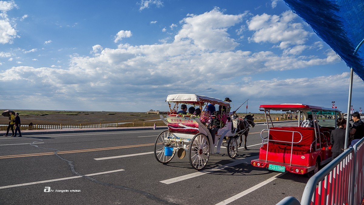 盘锦闲游——红海滩（9）