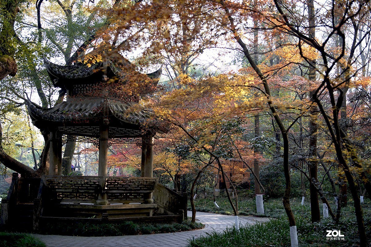 恭贺老王玩摄影荣任天津星空(中国)版主