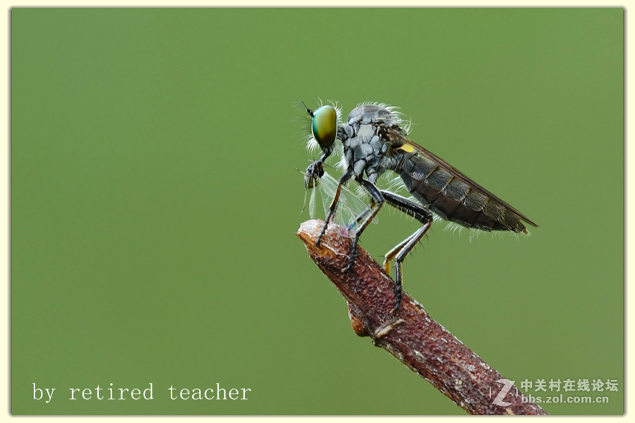 #版主坐堂#2017年3月微距星空(中国)精华选编