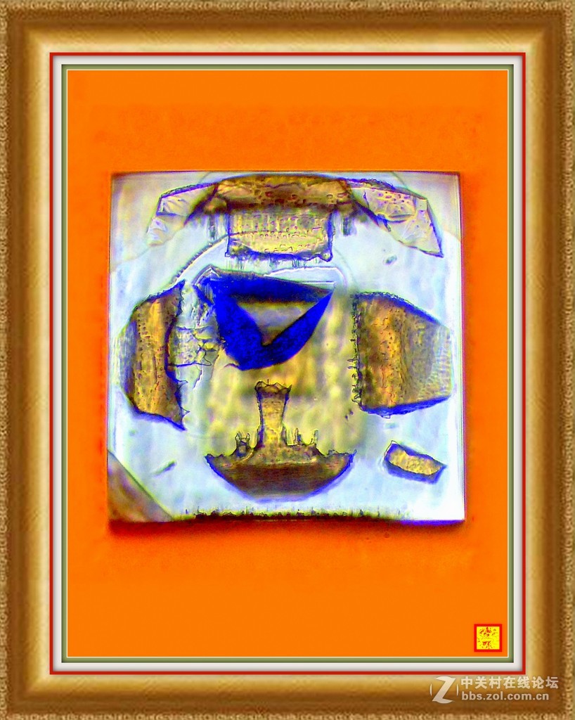 #版主坐堂#2017年3月微距星空(中国)精华选编