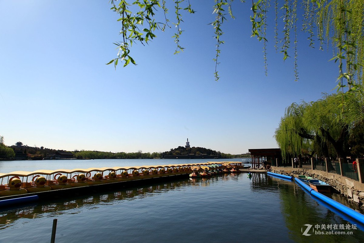 春风十里 北海畅游