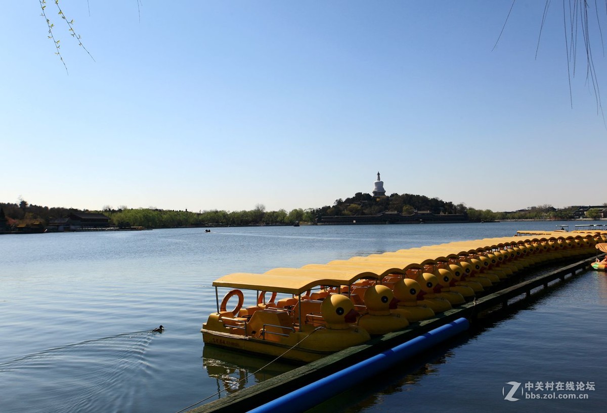 春风十里 北海畅游