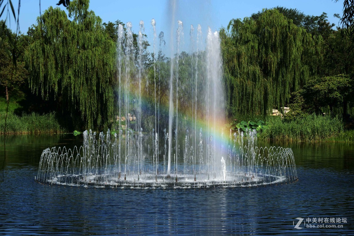 圆明园 第22届 荷花节