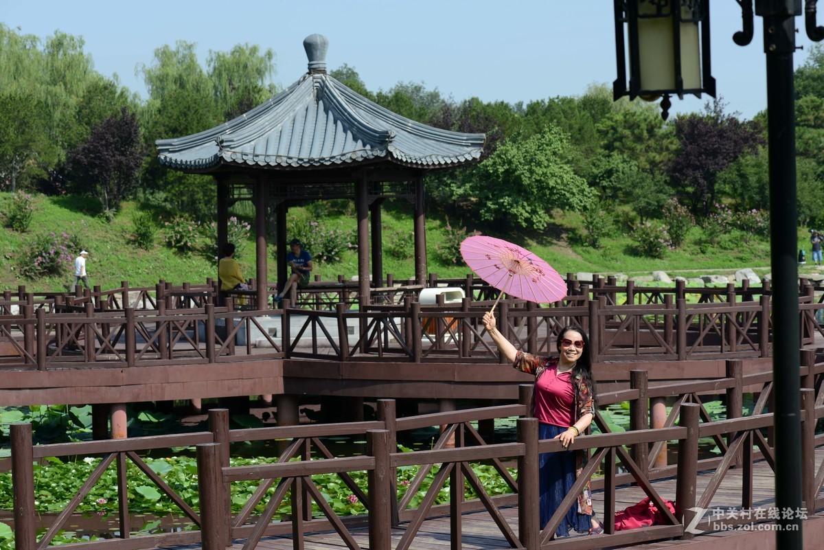 圆明园 第22届 荷花节