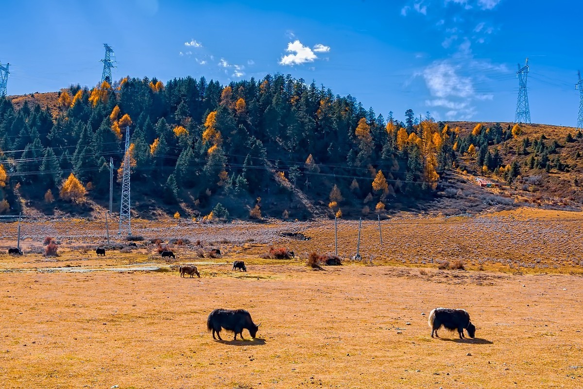 2018.10. 金秋川西行 之 路拍道浮景(2)