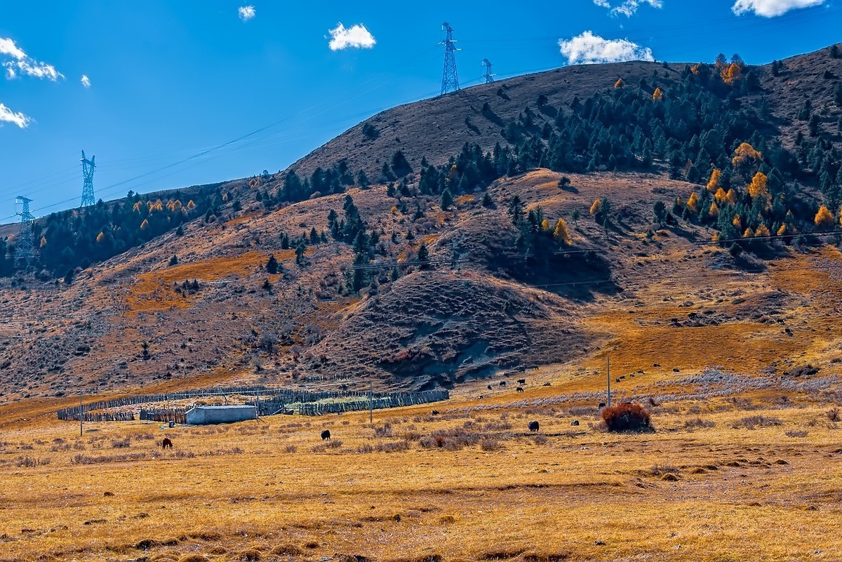 2018.10. 金秋川西行 之 路拍道浮景(2)