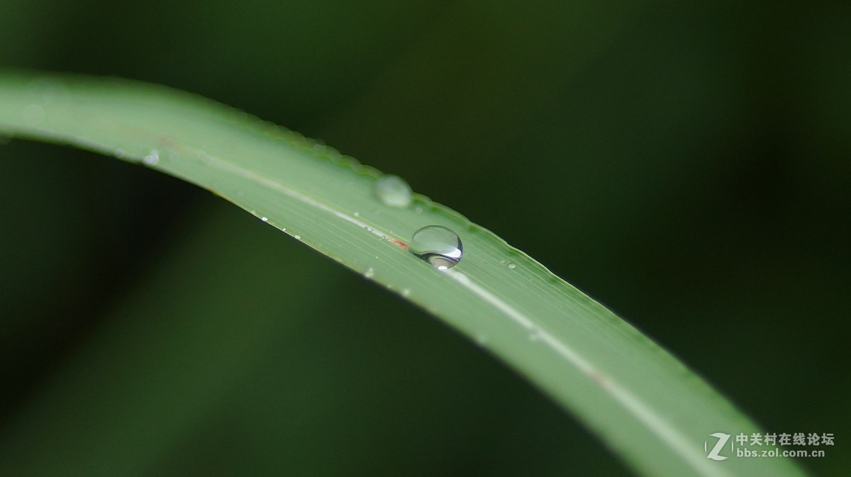 好雨！润物细无声