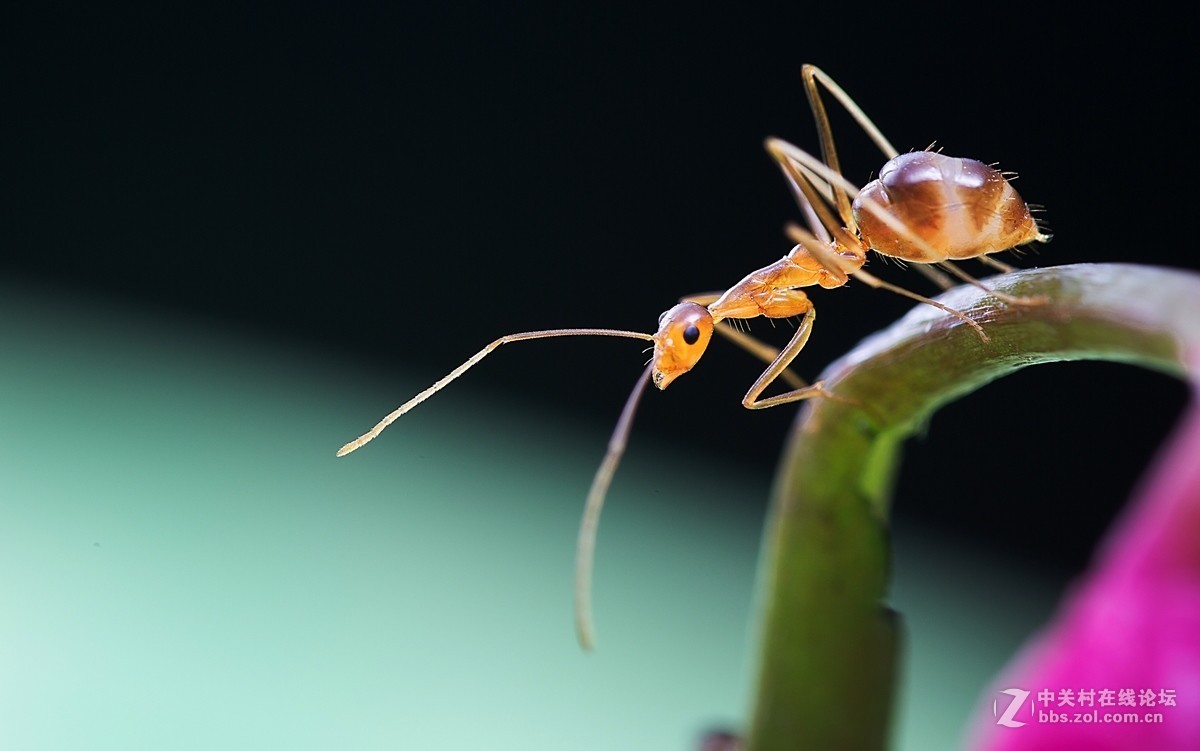 #版主坐堂#2017年3月微距星空(中国)精华选编