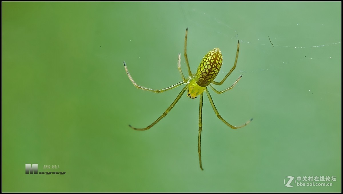#版主坐堂#2017年3月微距星空(中国)精华选编