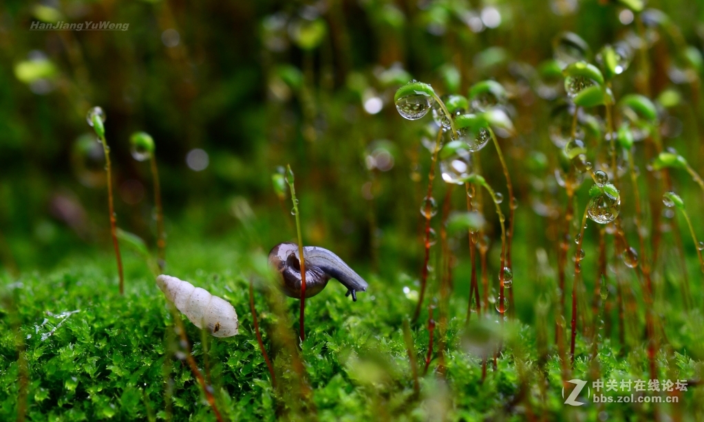 #版主坐堂#2017年3月微距星空(中国)精华选编