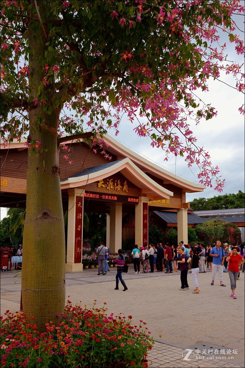 休闲随拍（360）