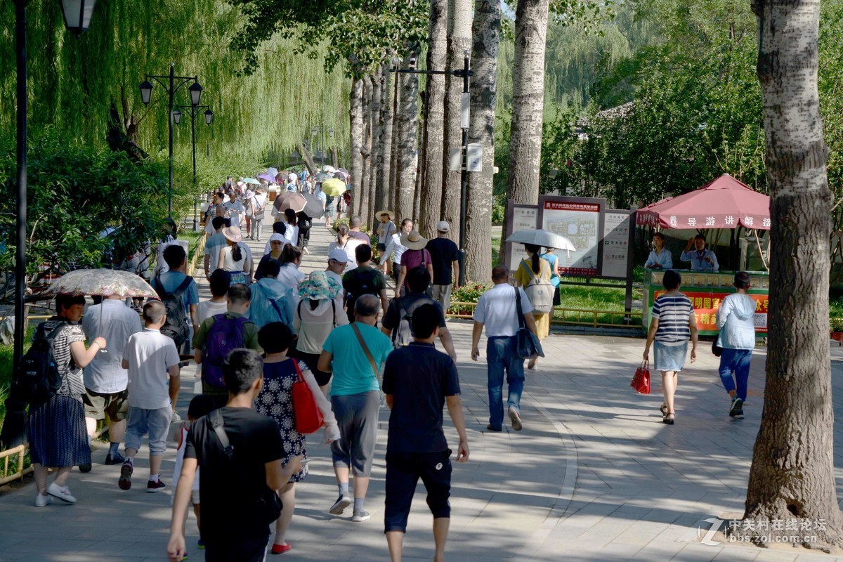 圆明园 第22届 荷花节