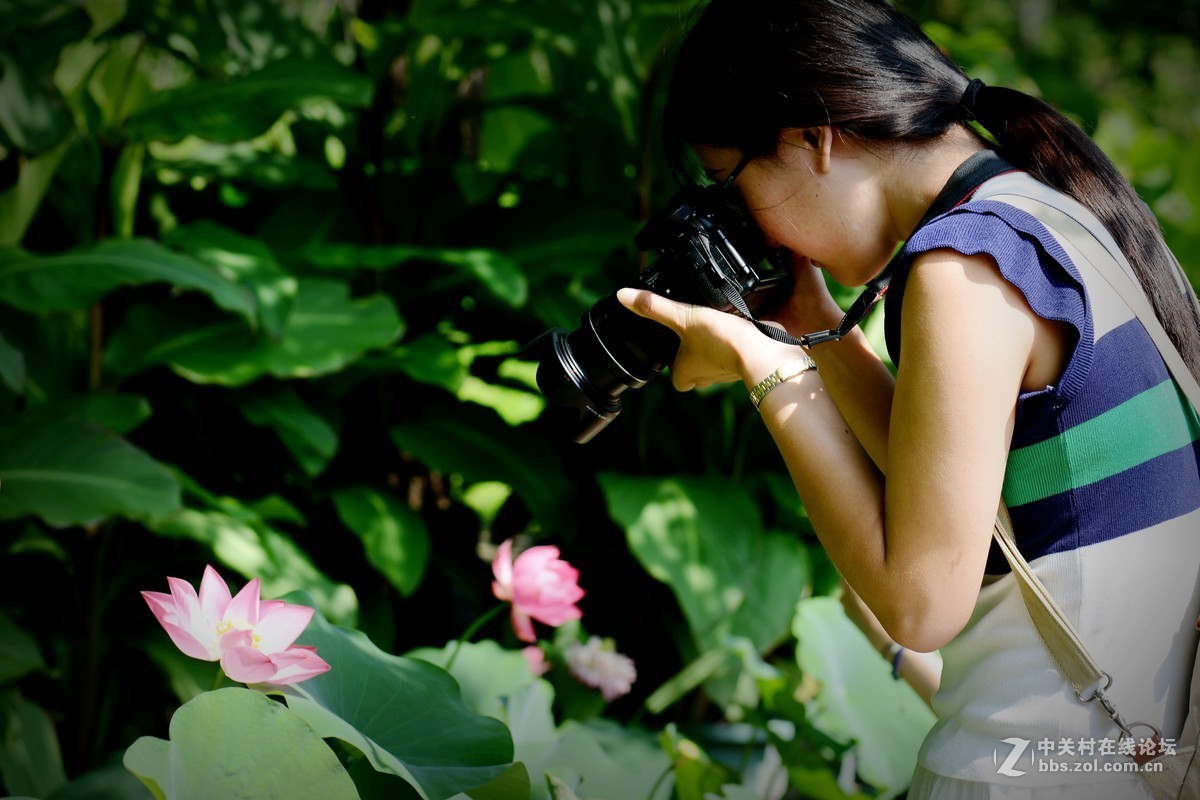 圆明园 第22届 荷花节