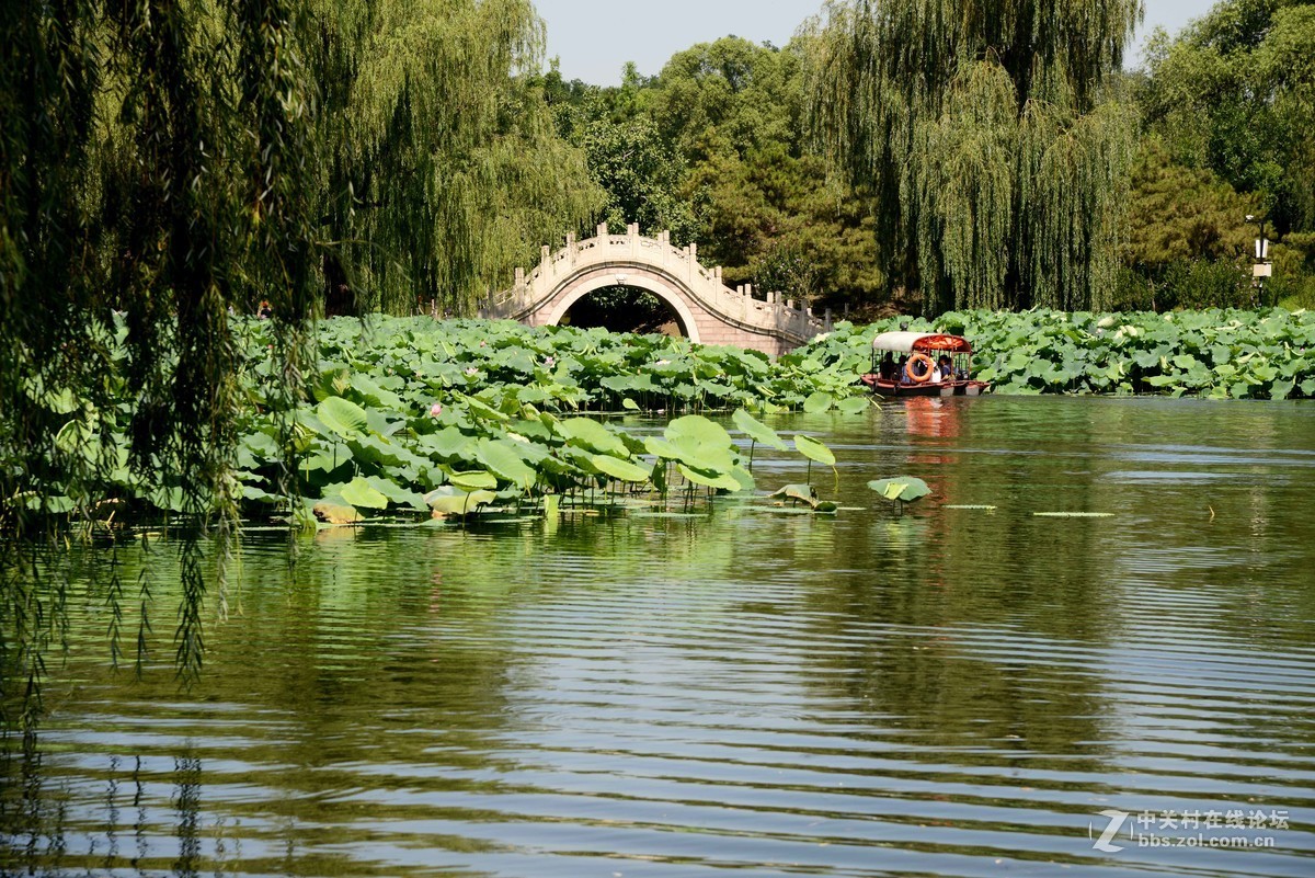 圆明园 第22届 荷花节