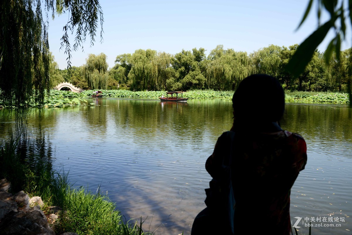 圆明园 第22届 荷花节