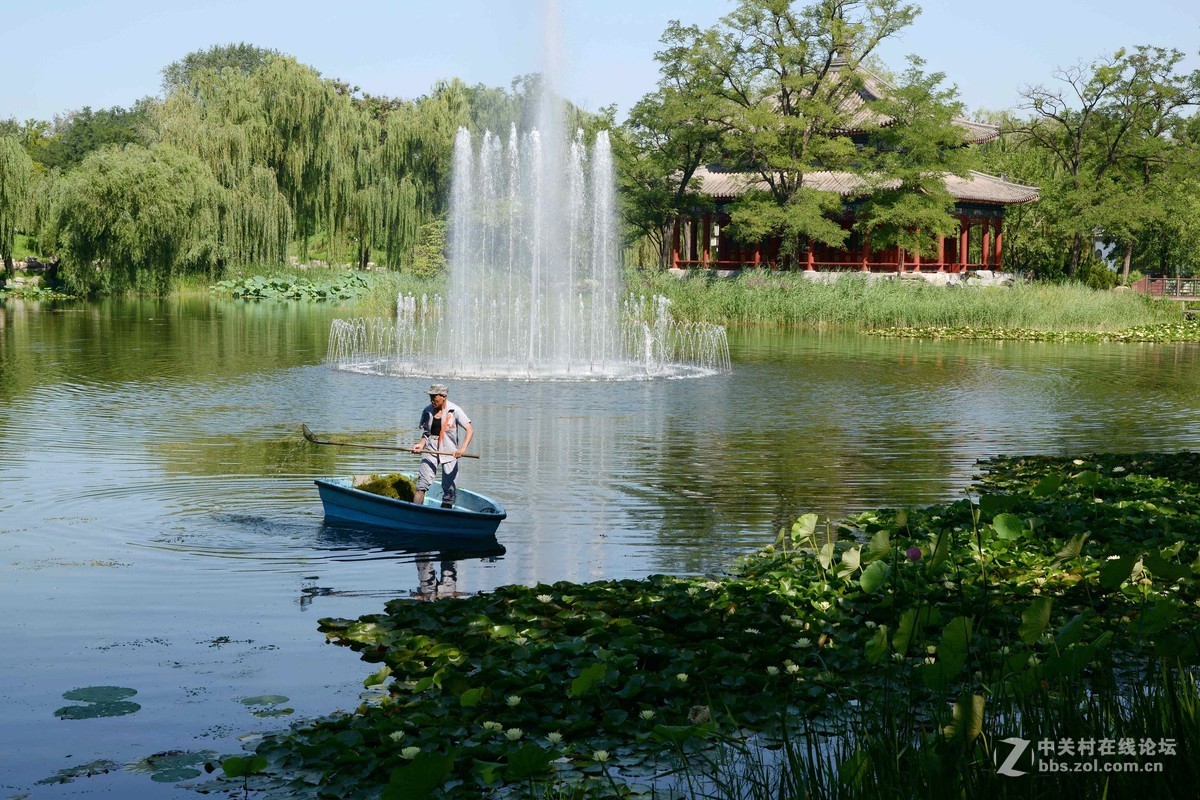 圆明园 第22届 荷花节