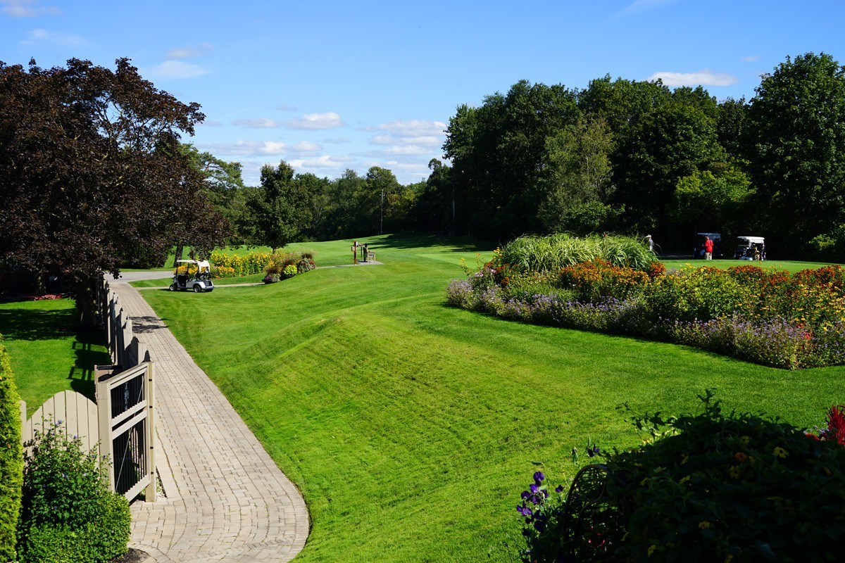 多伦多住宅小区的草地